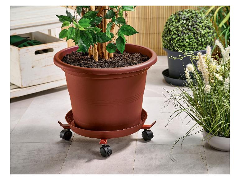 Plantenonderzetter