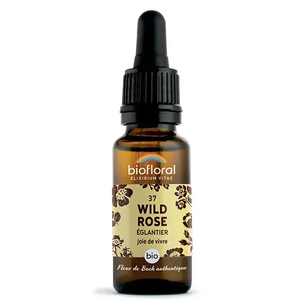 Florais de Bach Bioflorais 37 Rosa Selvagem Rosa Mosqueta Orgânica Demeter 20 ml