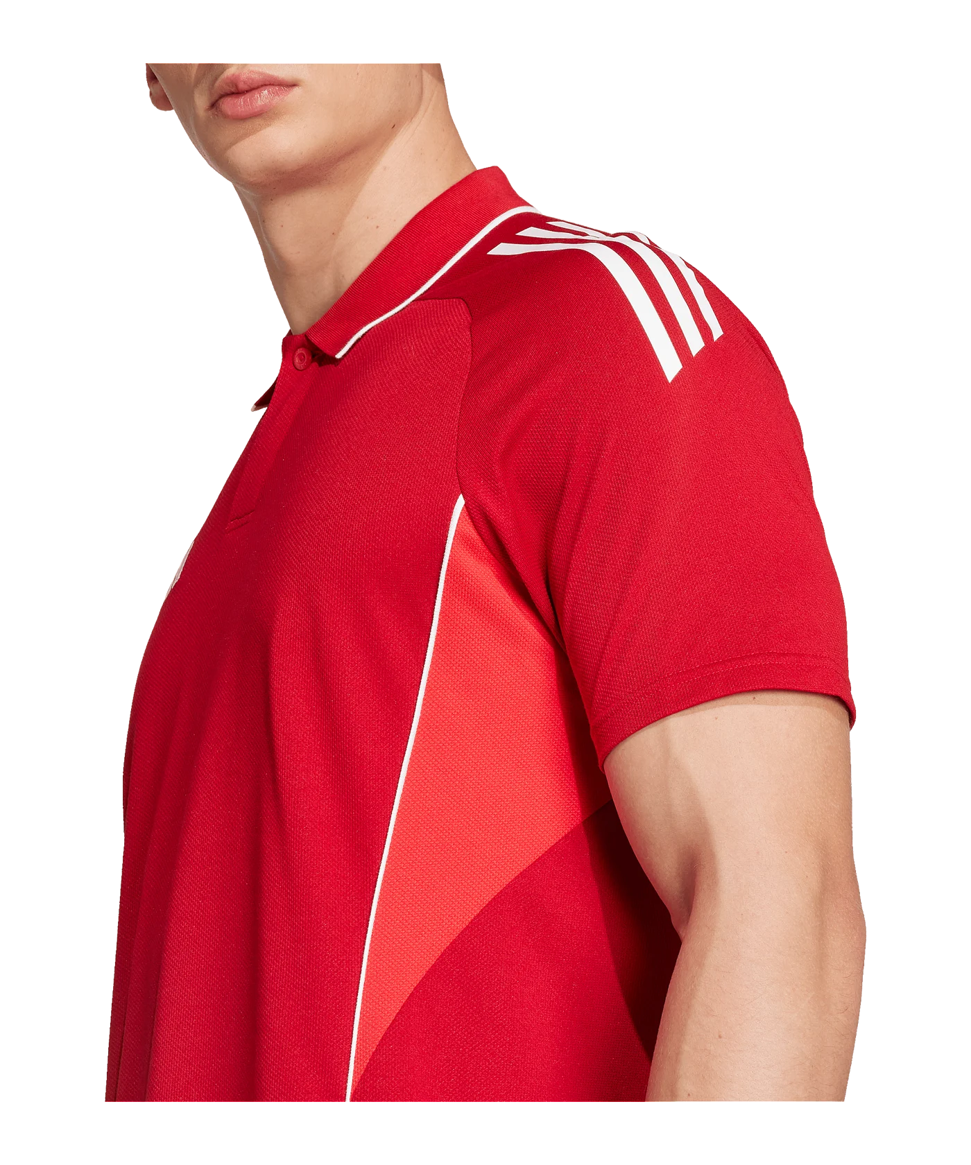 adidas Tiro 25 Competition Polo Rot