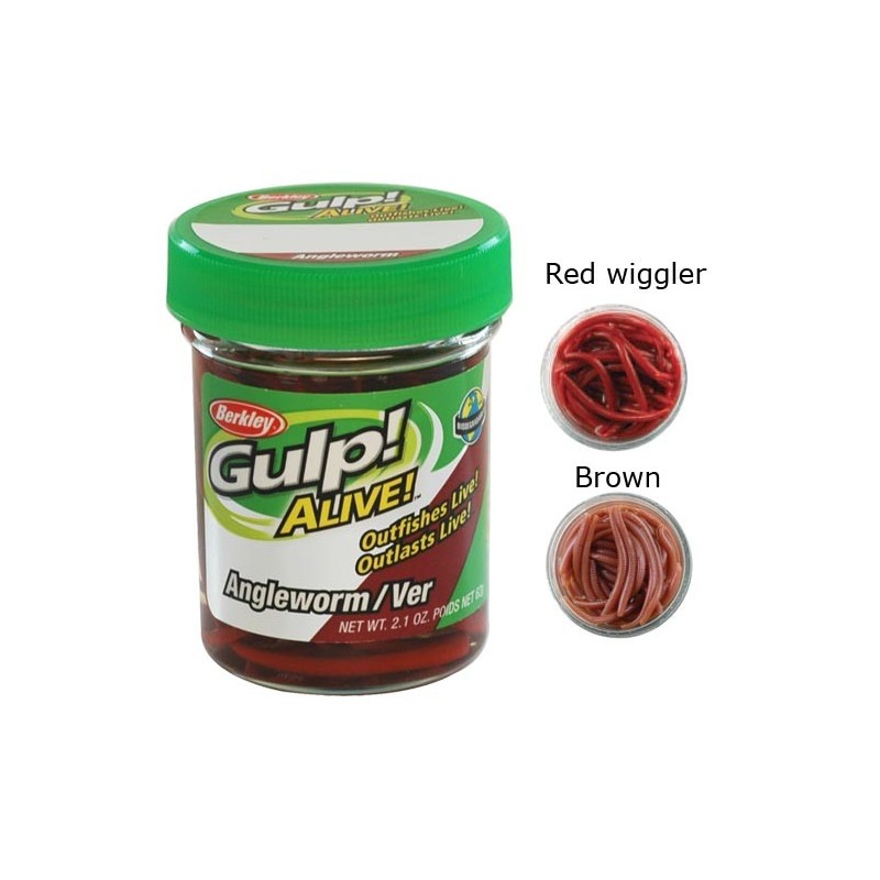 Appat Berkley Gulp Alive Angle Worm - 5Cm - Par 60