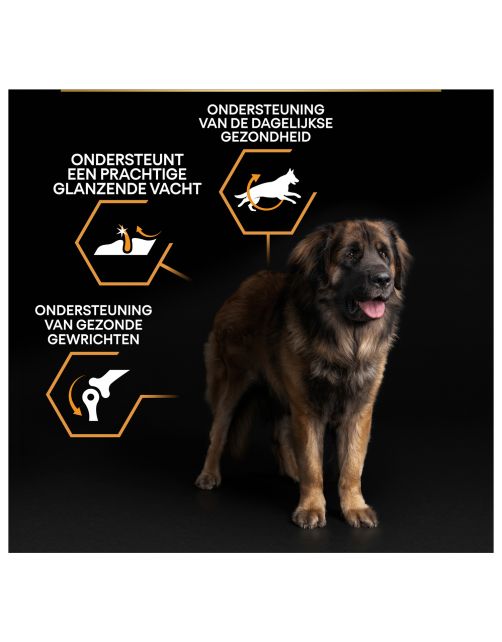 Pro Plan Dog Adult Large Breed Robust Kip - Hondenvoer