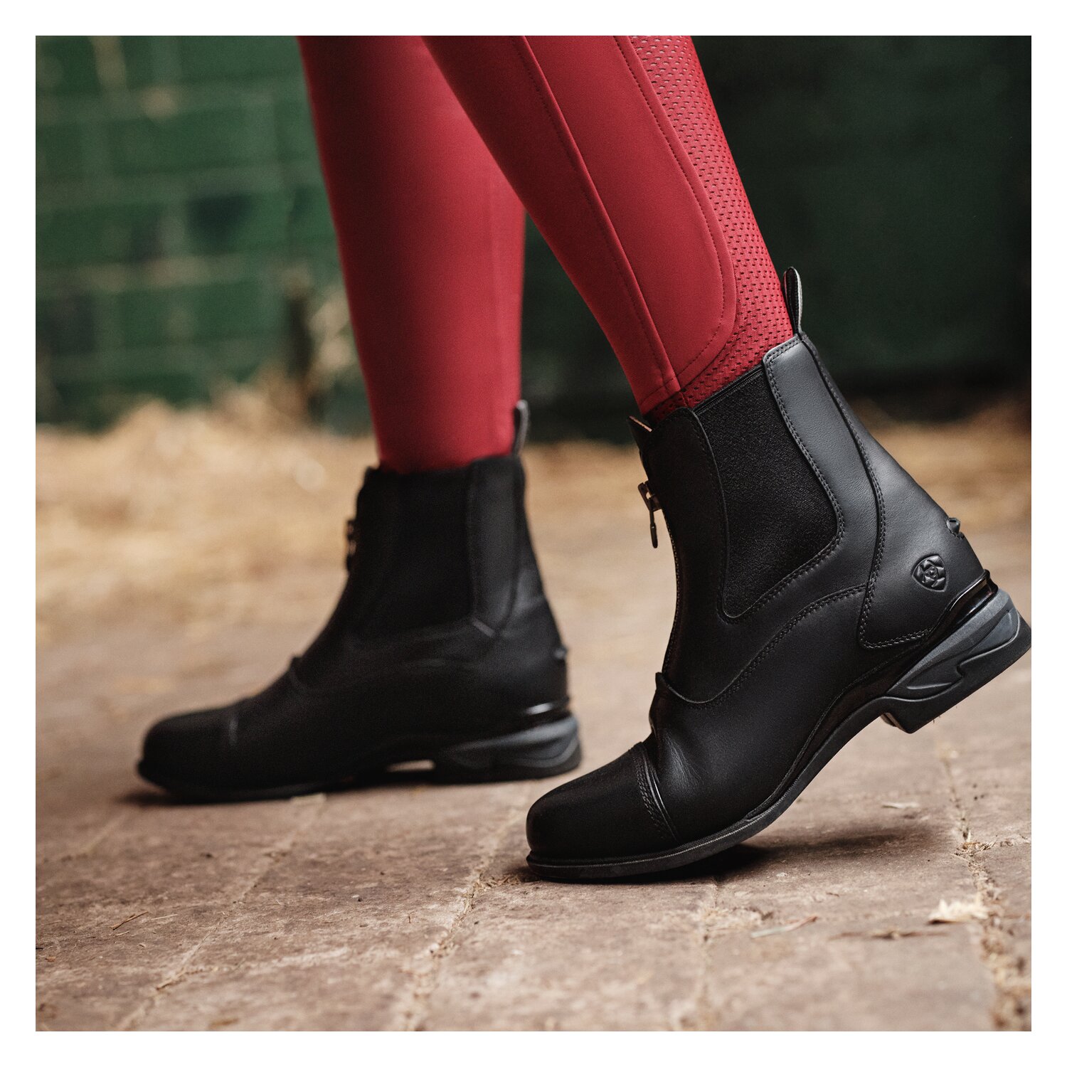 ARIAT Stiefelette Devon Zip Paddock  - schwarz