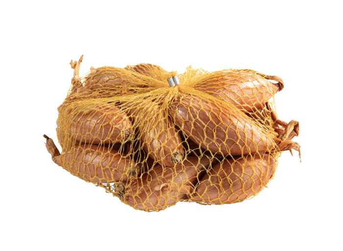 Stikløg - skalotteløg Longor 250 g