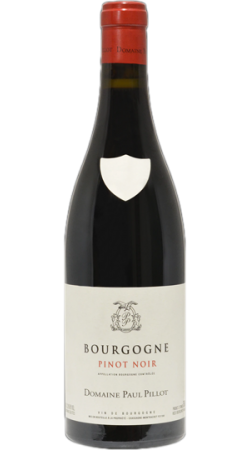 Domaine Paul Pillot 2019 Bourgogne Rouge