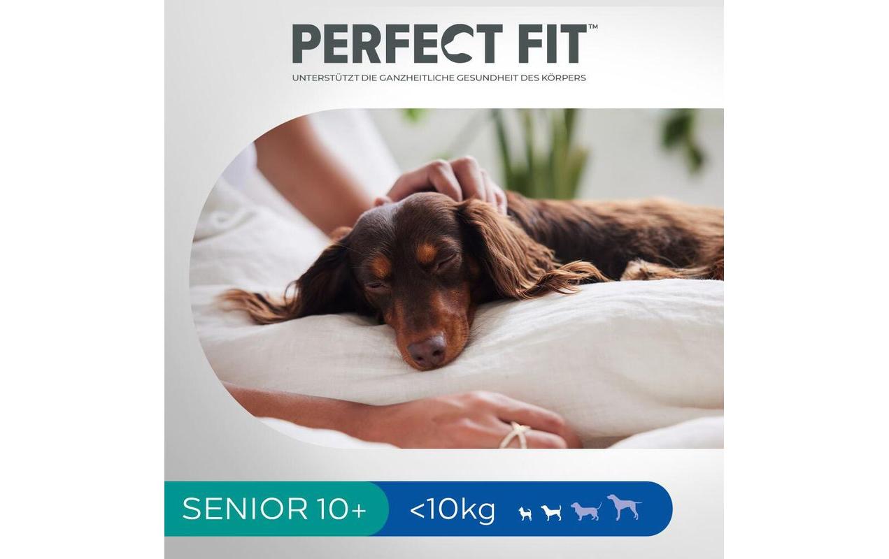 Trockenfutter Dog Trocken XS/S Senior, 1.4 kgVollwertige Trockennahrung mit ausgewogenen Nährstoffen