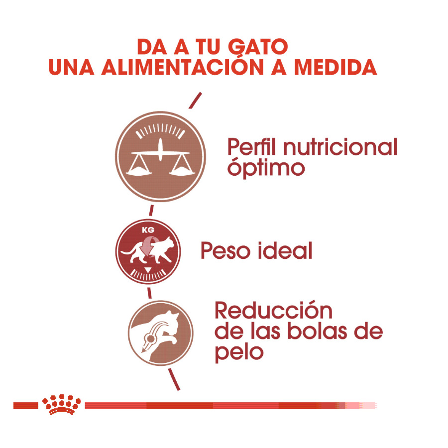 Ração para gatos Royal Canin Regular Fit 32