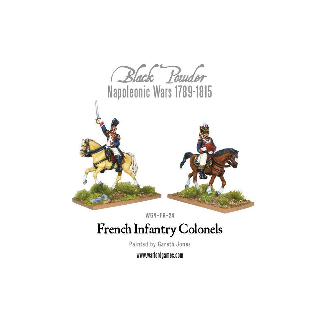 Mounted Napoleonic French Infantry Colonels