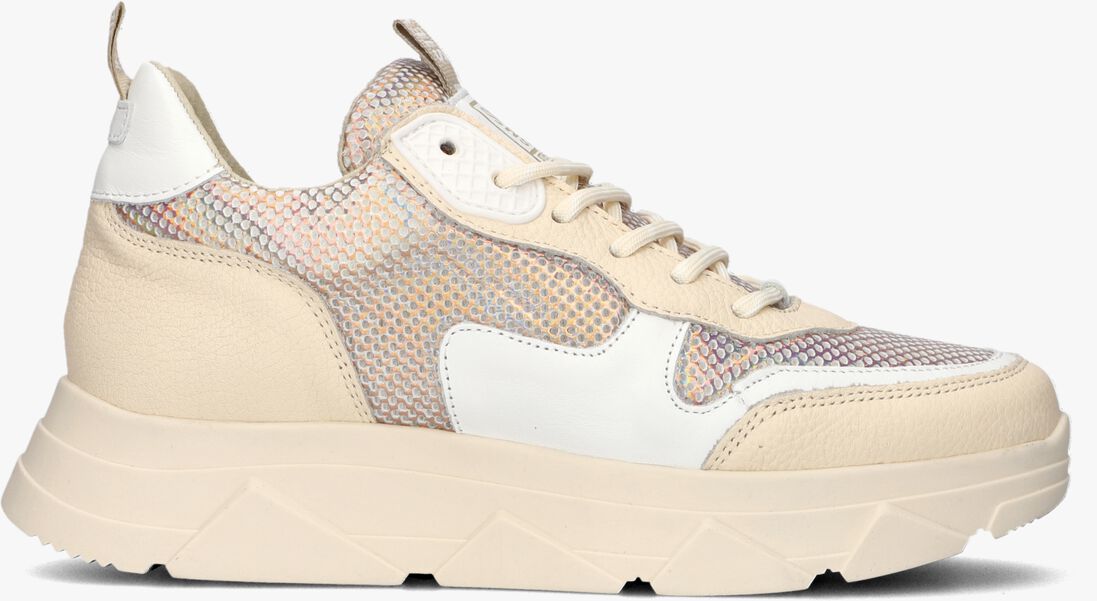 STEVE MADDEN beige steve madden lage sneakers pitty