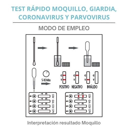 Teste rápido Lab4pets para cinomose, giardíase, coronavírus e parvovírus em cães.