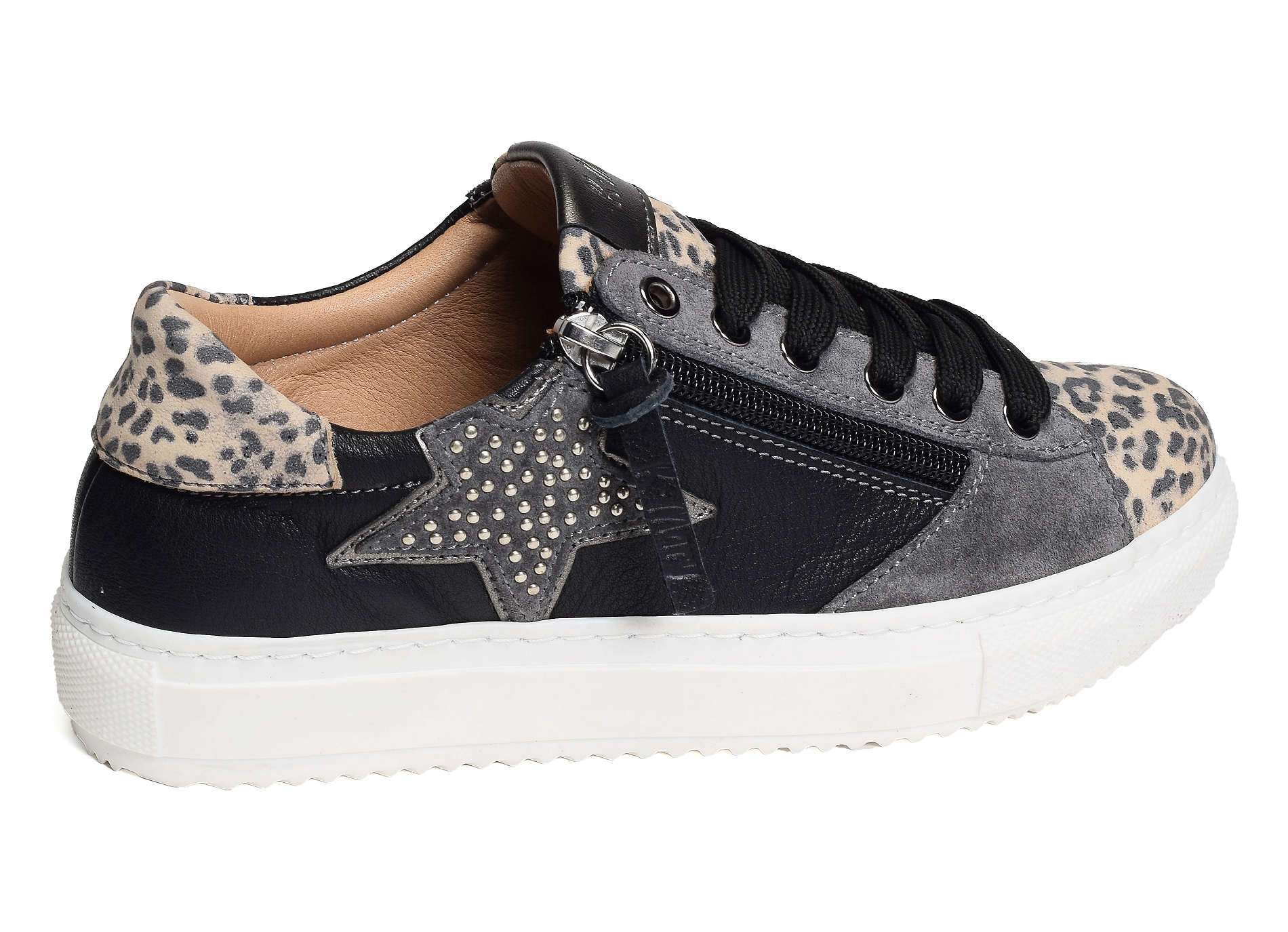 Caval noir