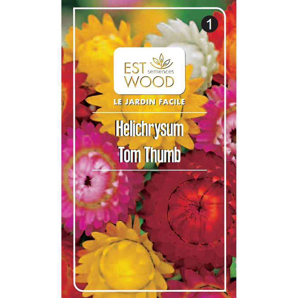 Semence Hélichrysum Tom Thumb Mix 0,5g