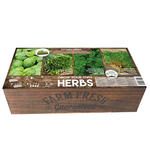 Carré de potager herbes de cuisine