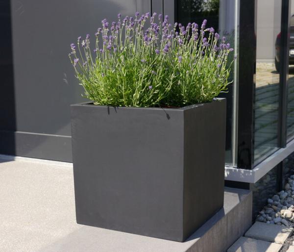 Eastwest Fiberglas-Pflanzkübel, quadratisch