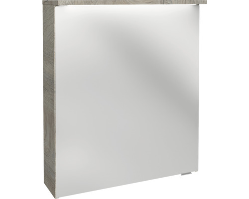FACKELMANN Oxford spiegelkast, 60,2 x 20 x 69,6 cm, eiken natuur, 1-deurs, LED, IP20