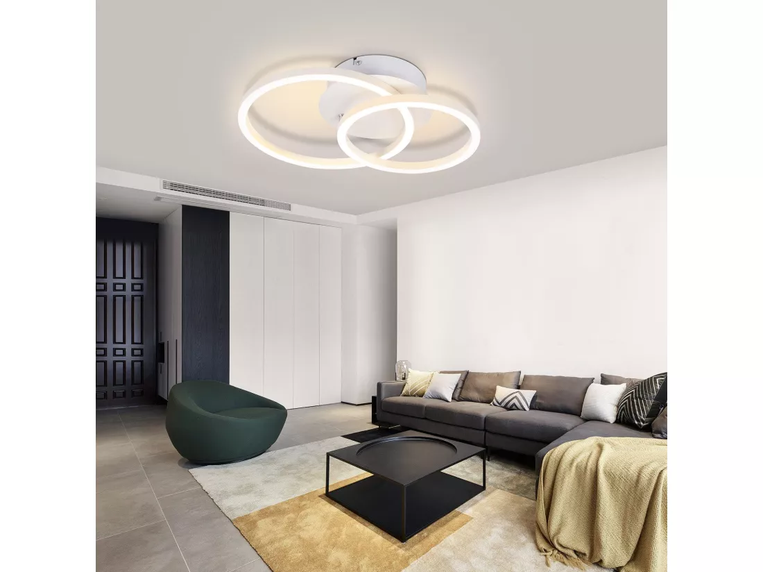 NETTLIFE Plafonnier LED 2 anneaux Blanc Pivotant Moderne Ronde Design 24W 3000K