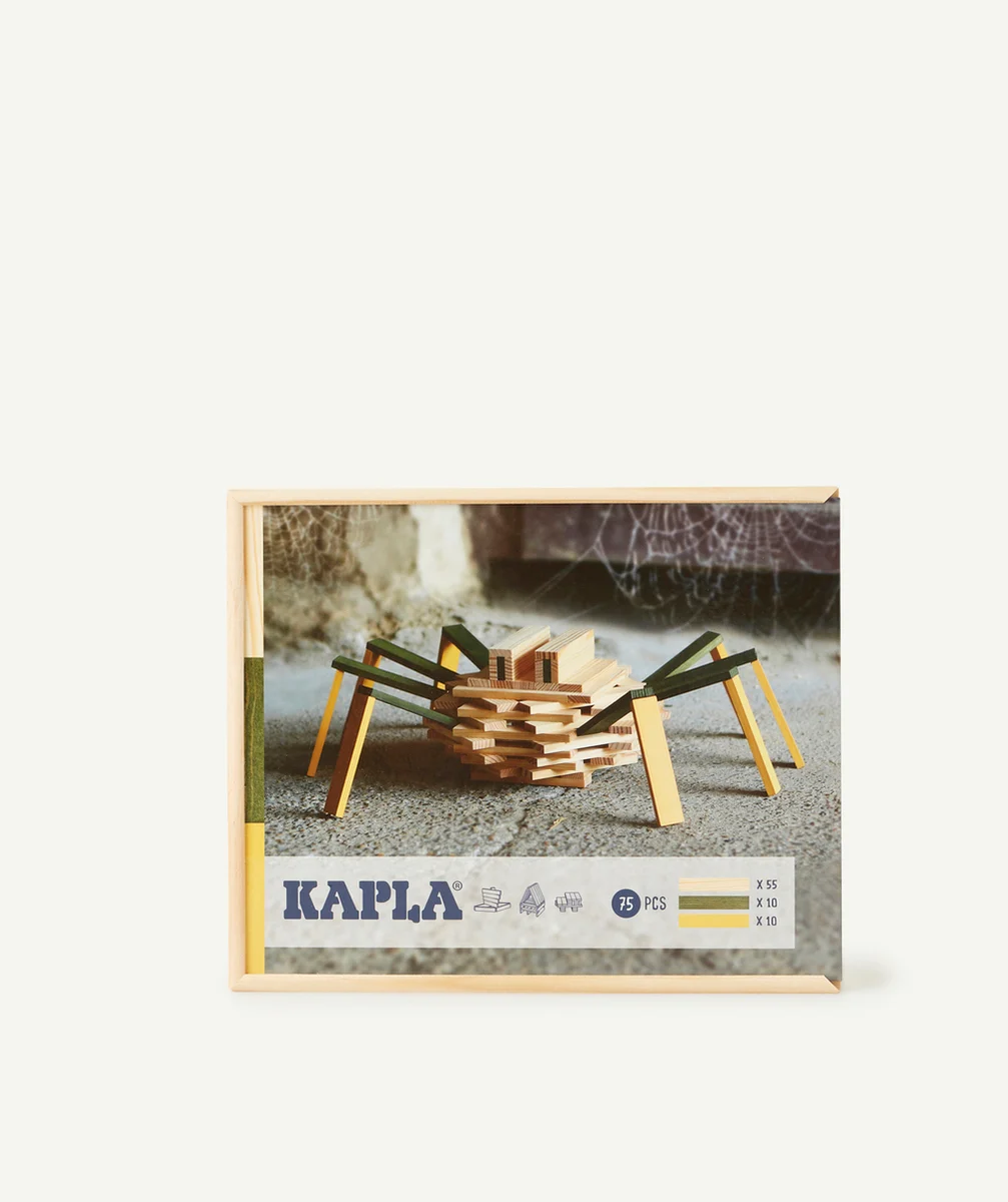 KAPLACOFFRET ARAIGNÉE KAPLA
