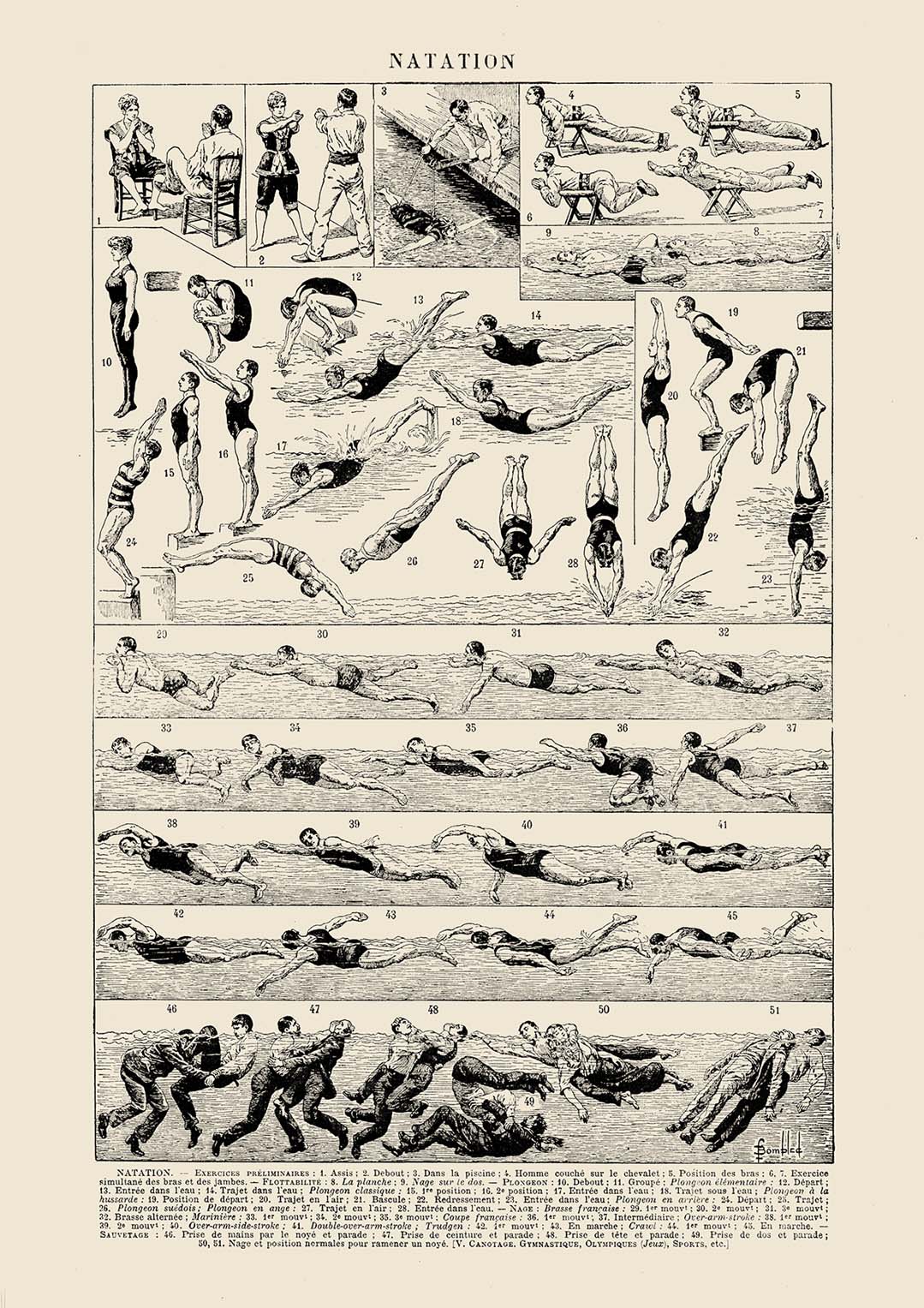 Französisch schwimmen