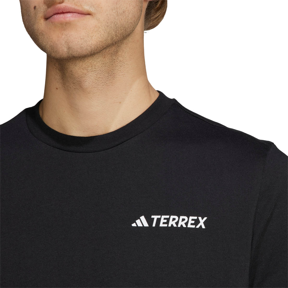 adidas Terrex Graphic Mountain 2.0 T-shirt Herre