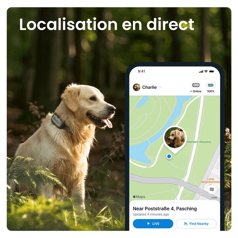 Traceur Tractive DOG XL GPS Adventure Edition