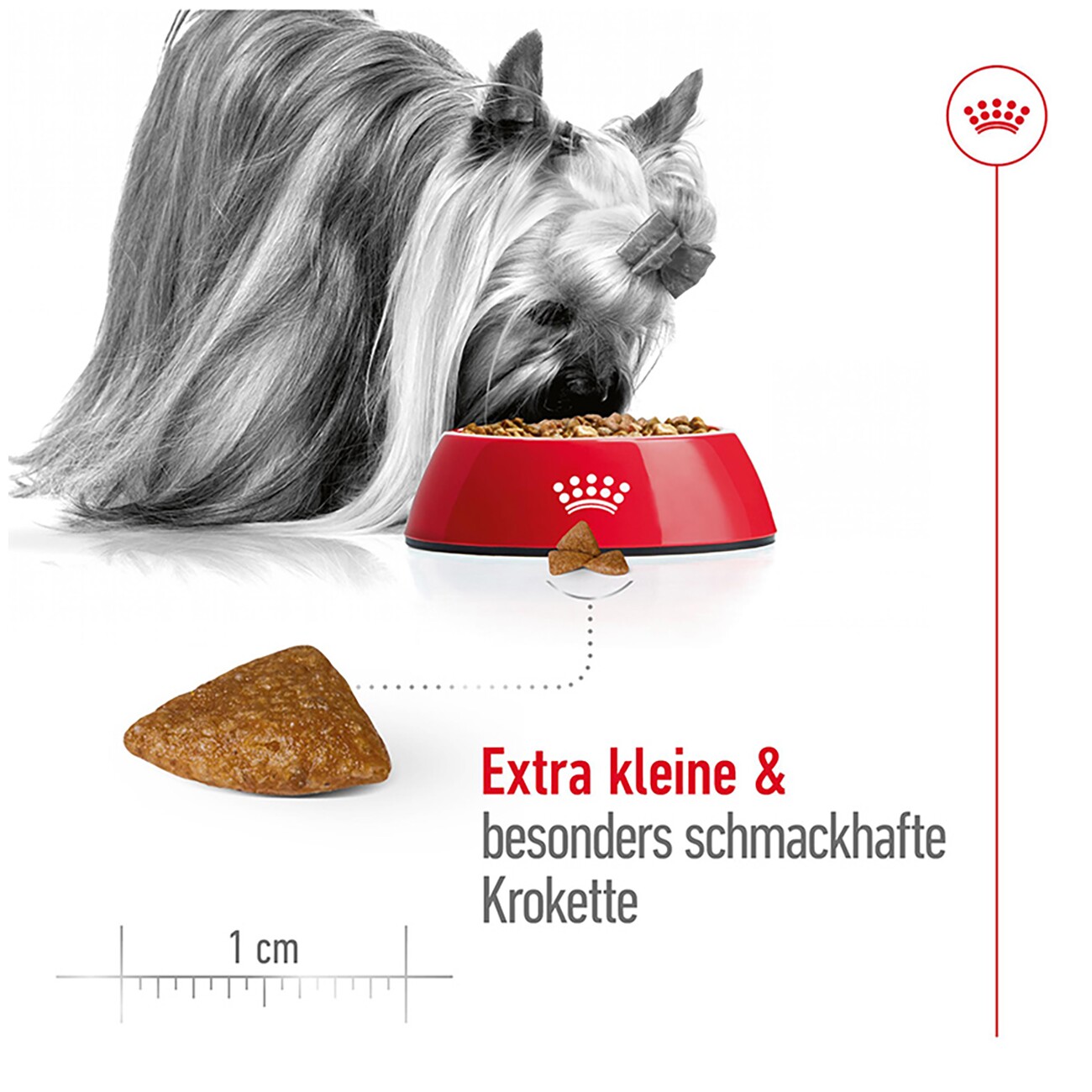 ROYAL CANIN X-Small Ageing 12+ 1,5 kg