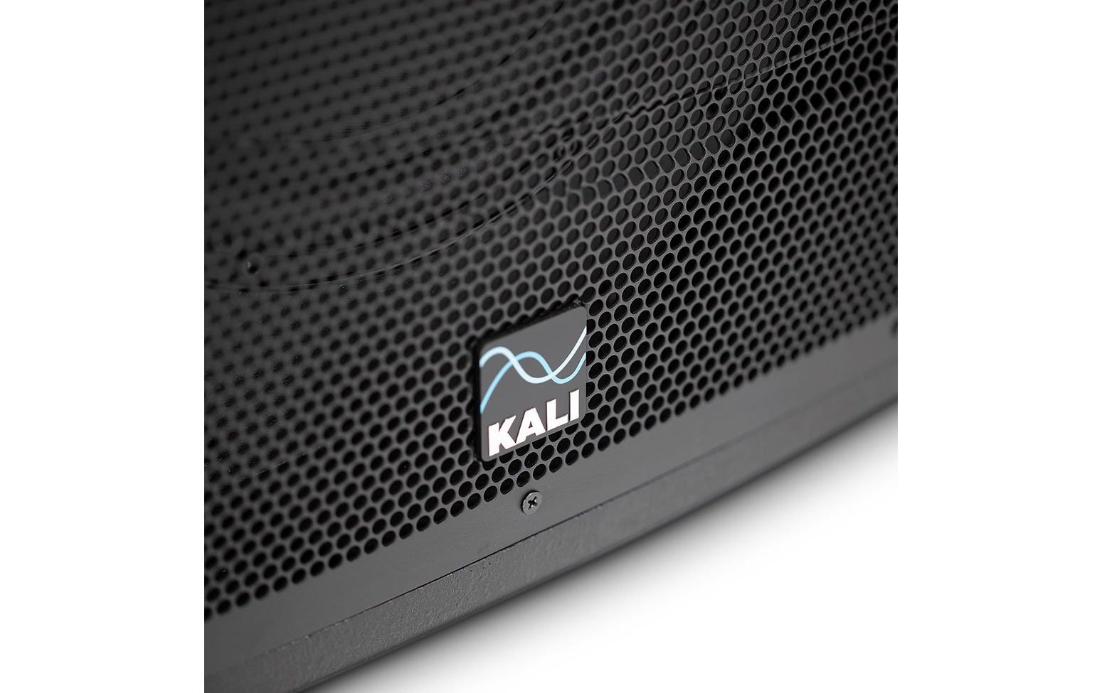 Subwoofer WS-12 V2 12 