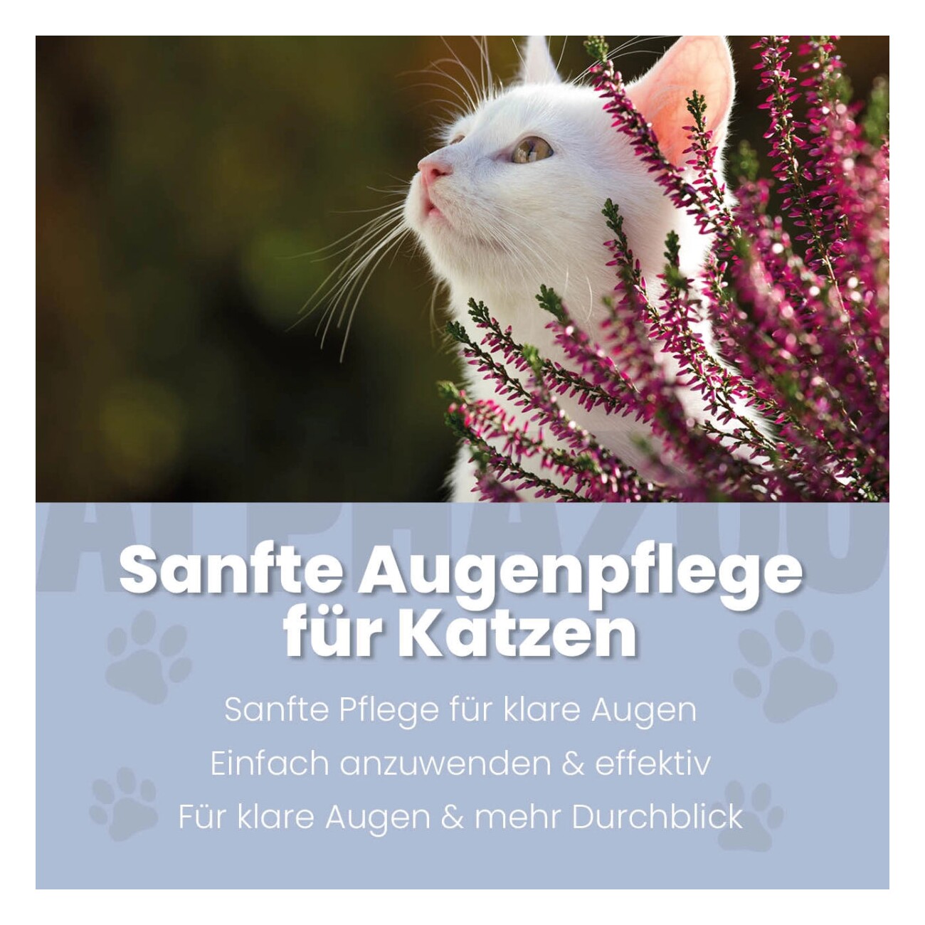ALPHAZOO Durchblick Augenpflege für Katzen I Sanfter Augenreiniger