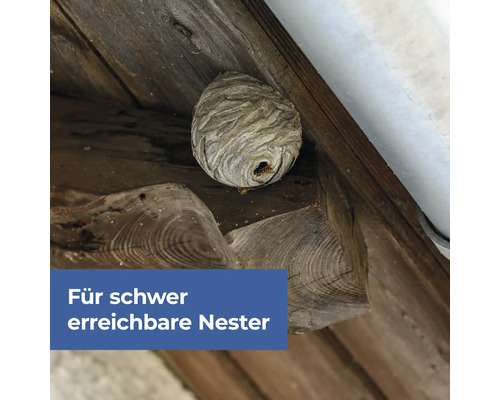 Protect Home wespenkrachtspray 600 ml