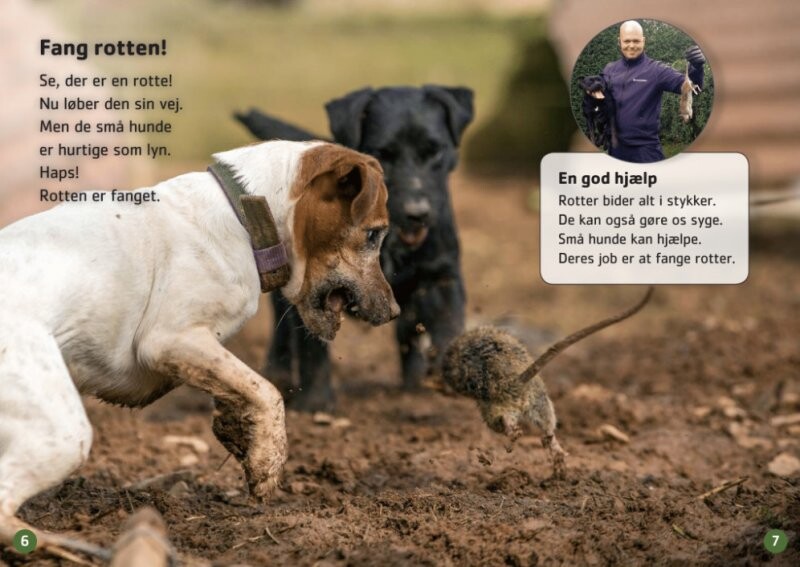 Små Hunde På Job - Marianne Randel Søndergaard - Bog
