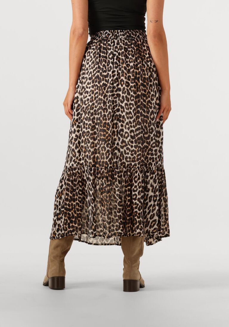 bruine suncoo midirok fado