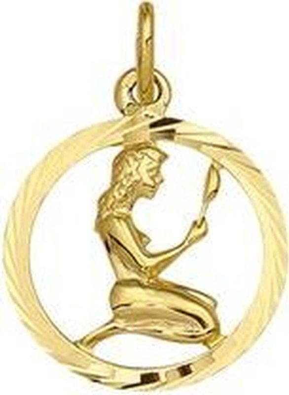 hanger sterrenbeeld gediamanteerd 14K geelgoud 4005682