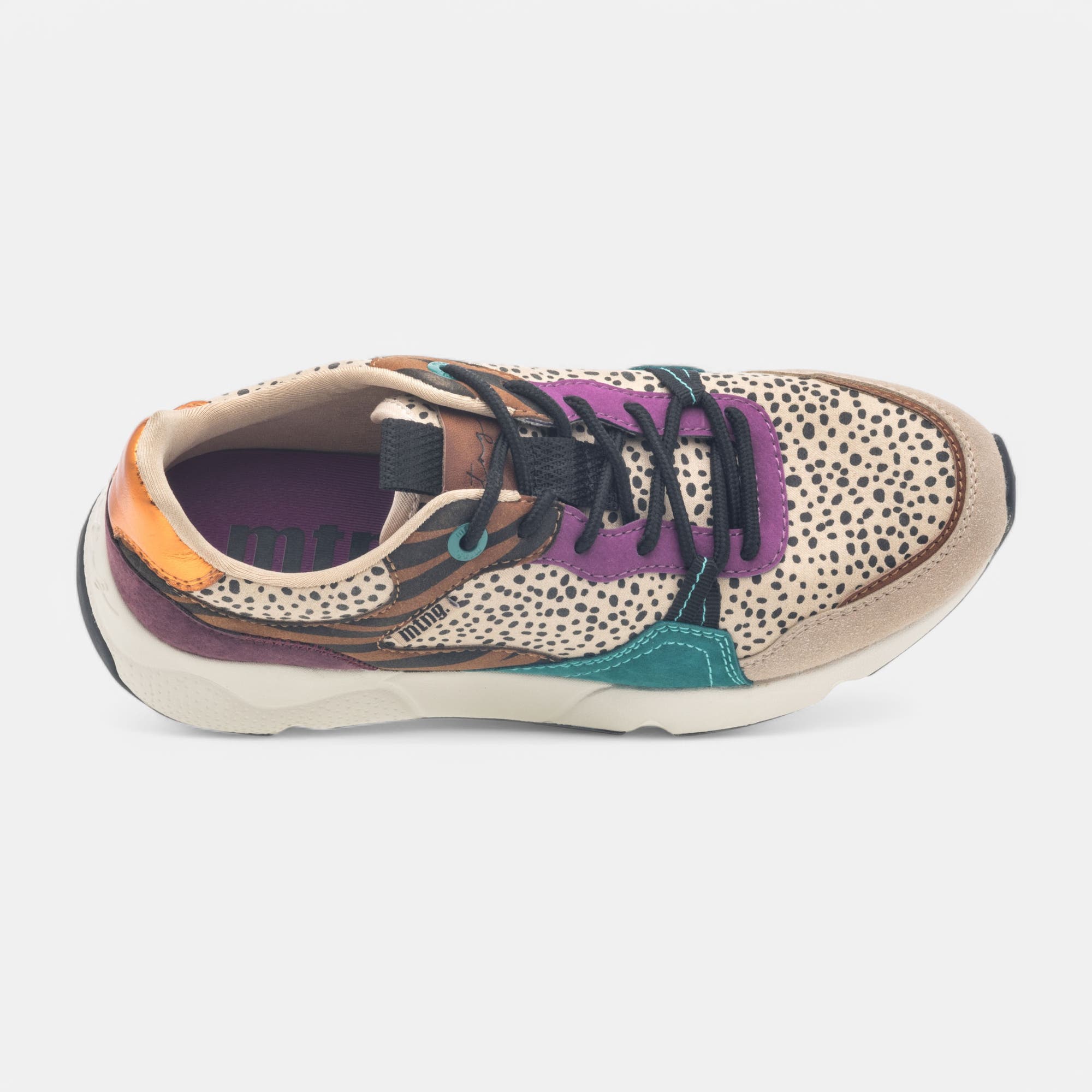 Baskets basses Femme beige