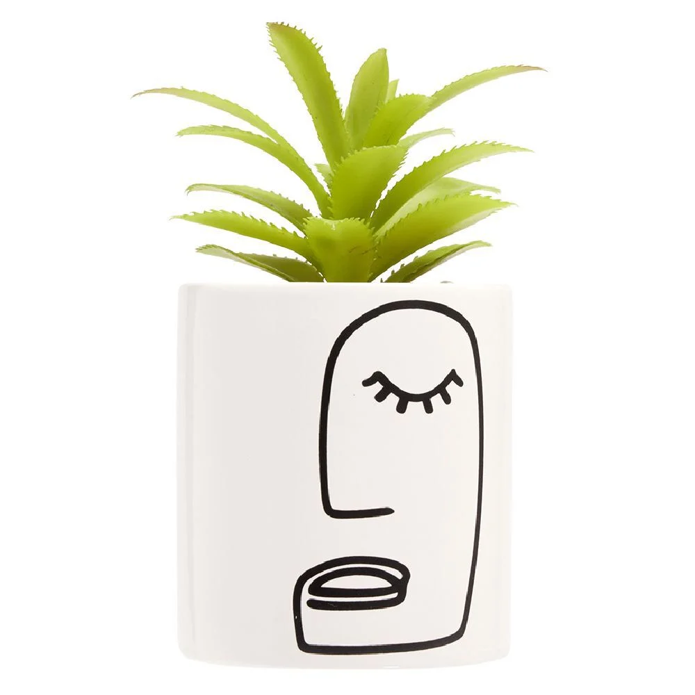 Plante succulente artificielle dans pot en grès motif visage line art