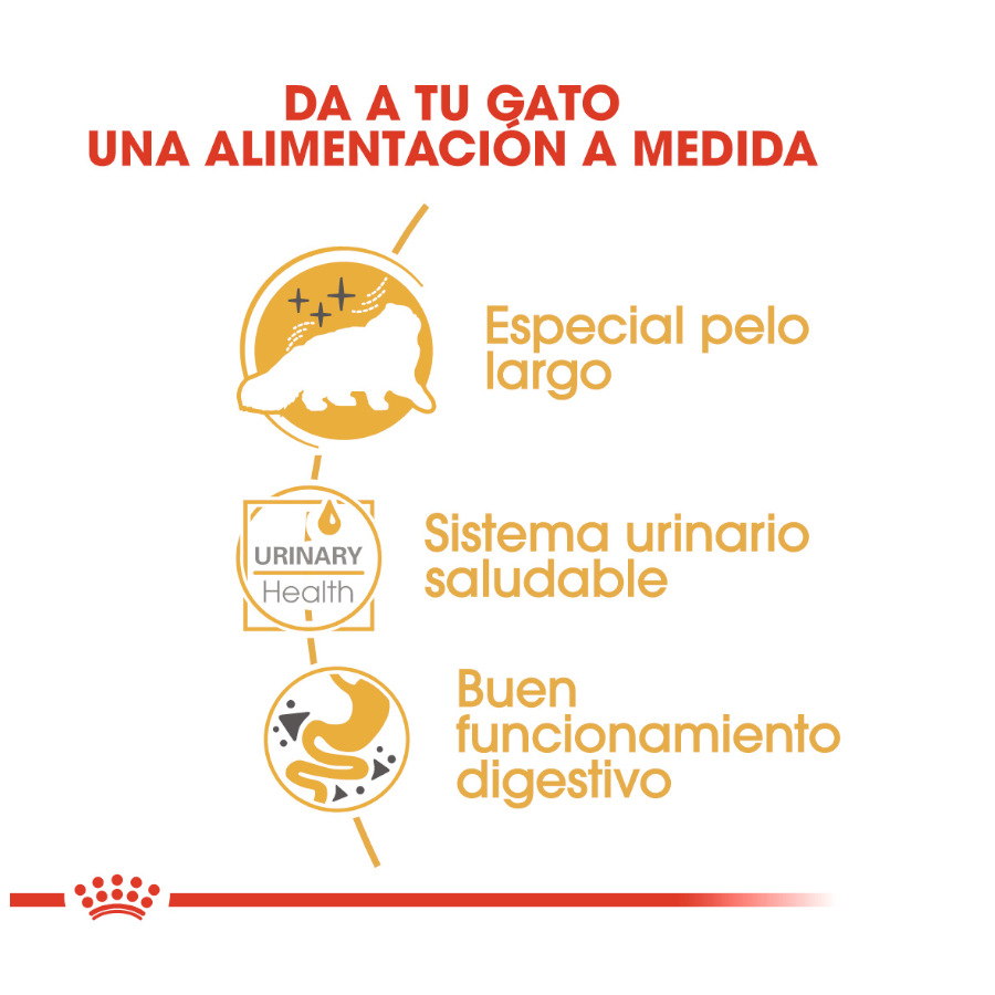Royal Canin Feline Persian Adulto