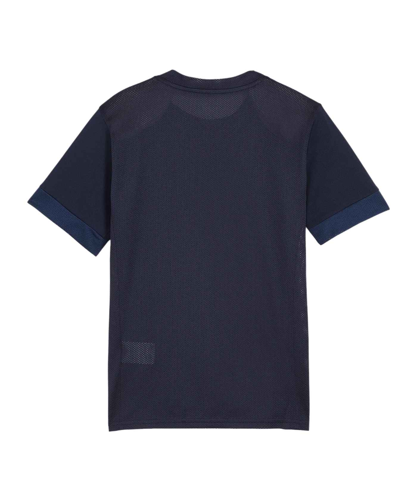 PUMA teamGOAL Matchday Trikot Kids Blau Weiss F06