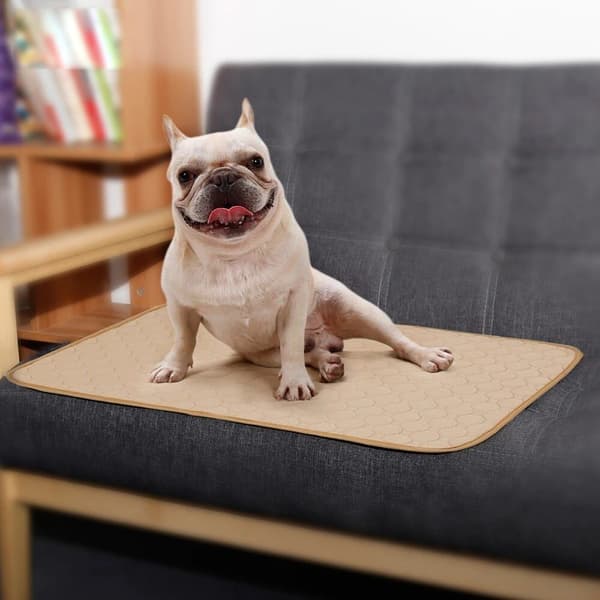 Absorberende Matte for Hund