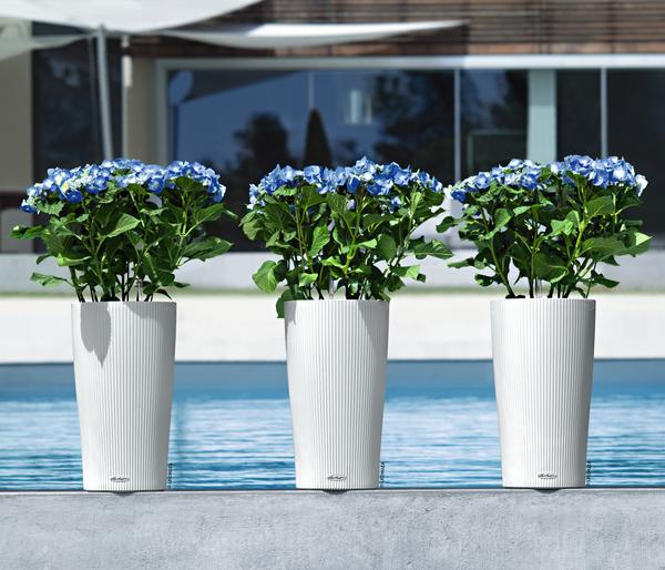LECHUZA® CILINDRO Color, All-in-One Set