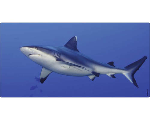 Badkamer achterwand mySPOTTI aqua shark 90x45 cm