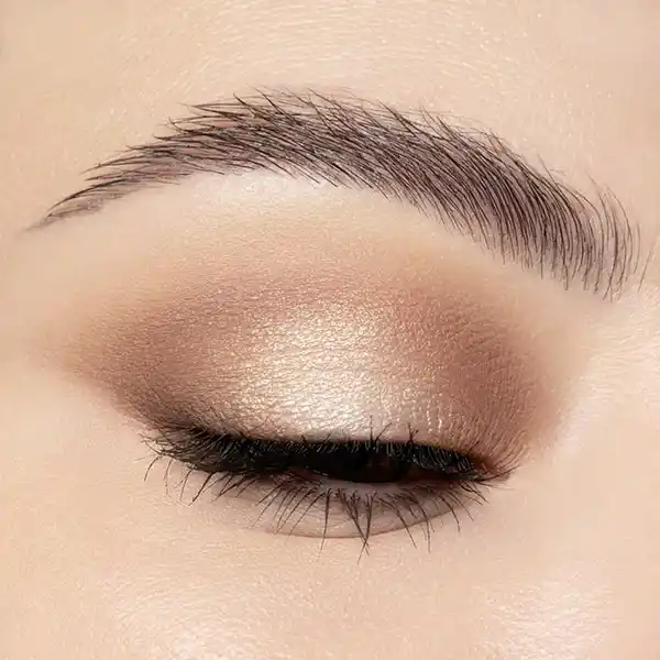 5 In A Box Mini Eyeshadow Palette 010