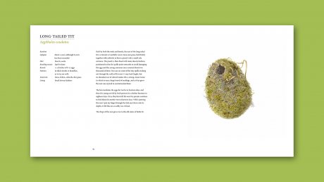 Nests (Hardback)