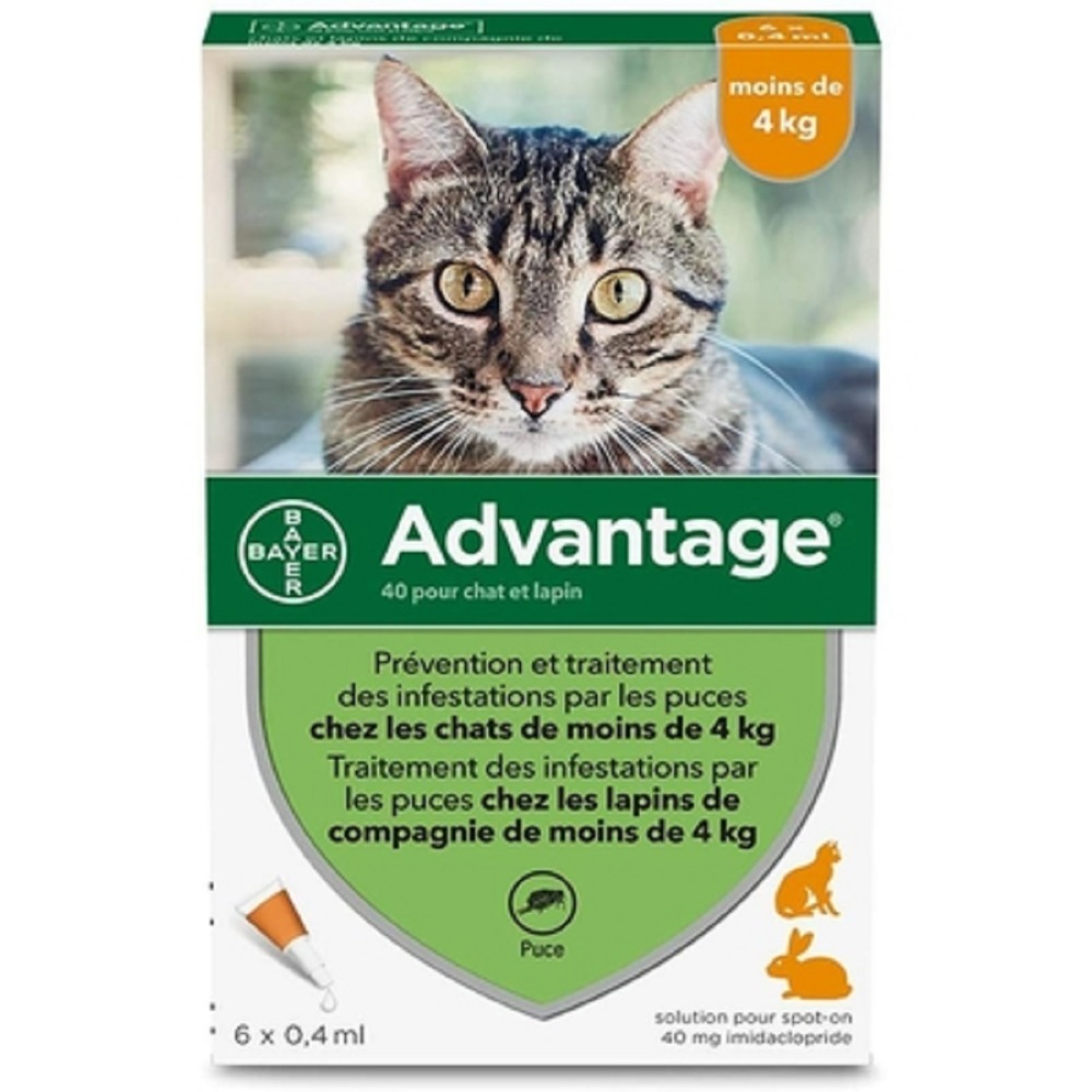 Anti-puces chats moins de 4kg 6 pipettes