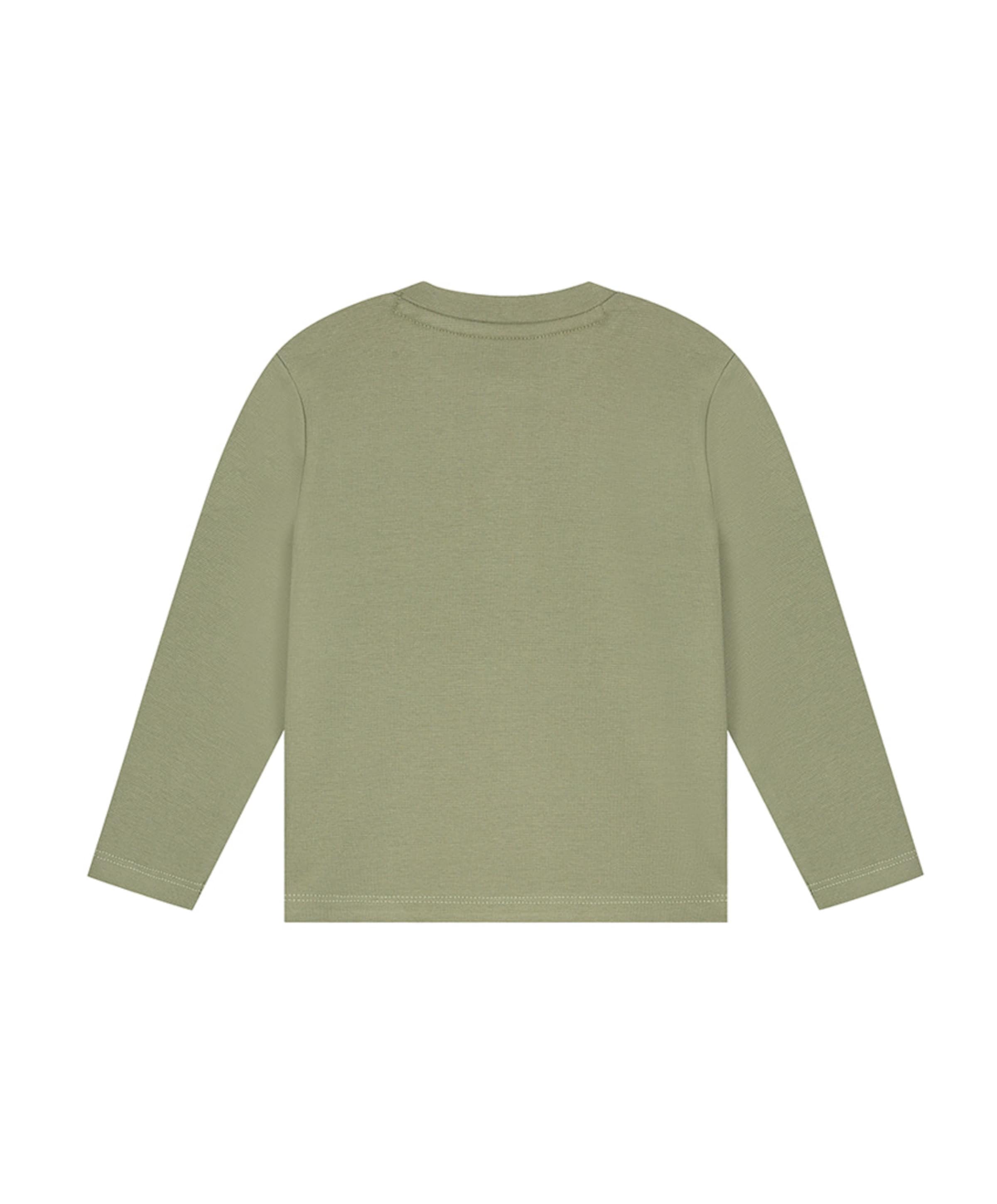 Babyface Jongens longsleeve groen