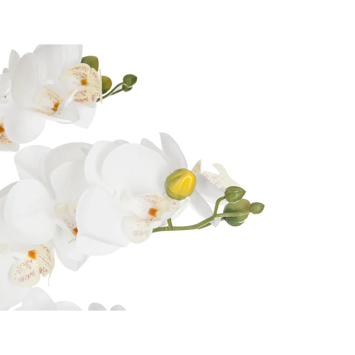 Atmosphera, Createur D'Interieur ATMOSPHERA Orchidée en pot H. 65 cm blanc