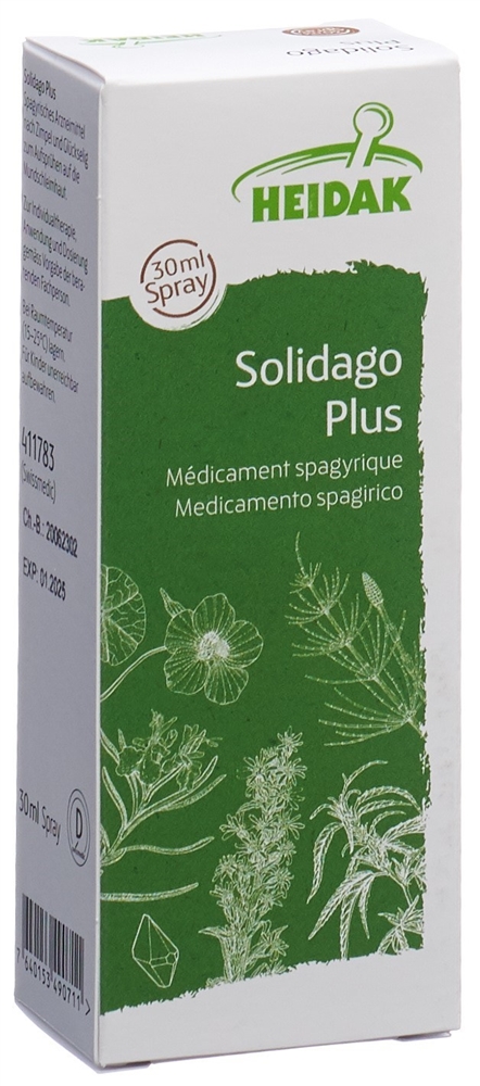 HEIDAK Solidago plus Spray Fl 30 ml