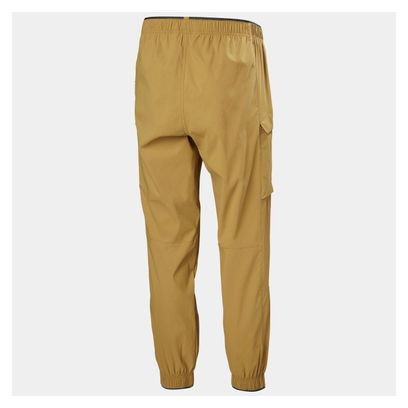 Pantalon de Randonnée Helly Hansen Vista Hike Marron
