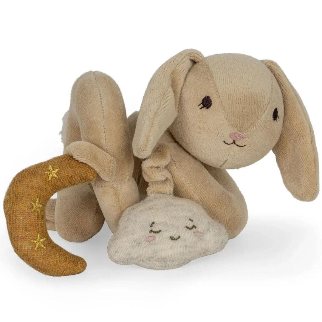 Konges sløjd activiteitenspiraal bunny