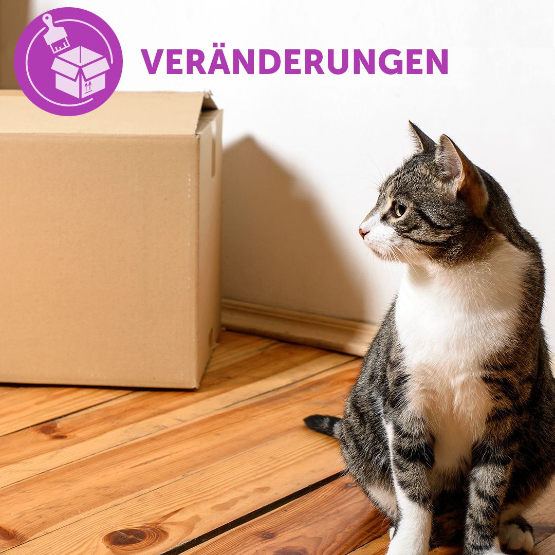 FELIWAY® CLASSIC