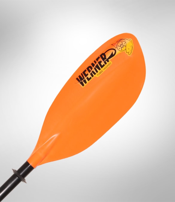 Werner Tybee FG