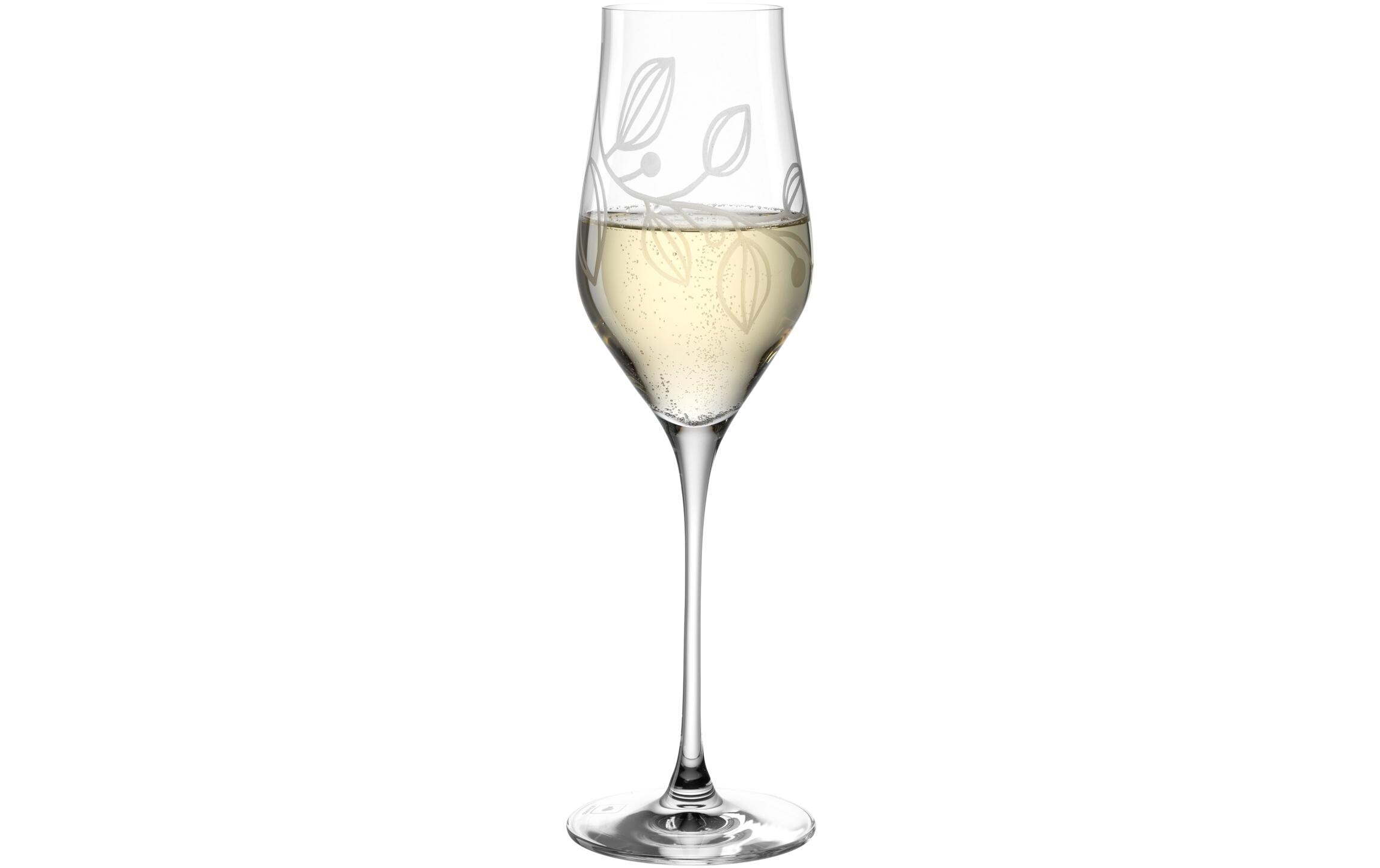 Champagnerglas Boccio 340 ml, 1 Stück, TransparentChampagnergläser Set