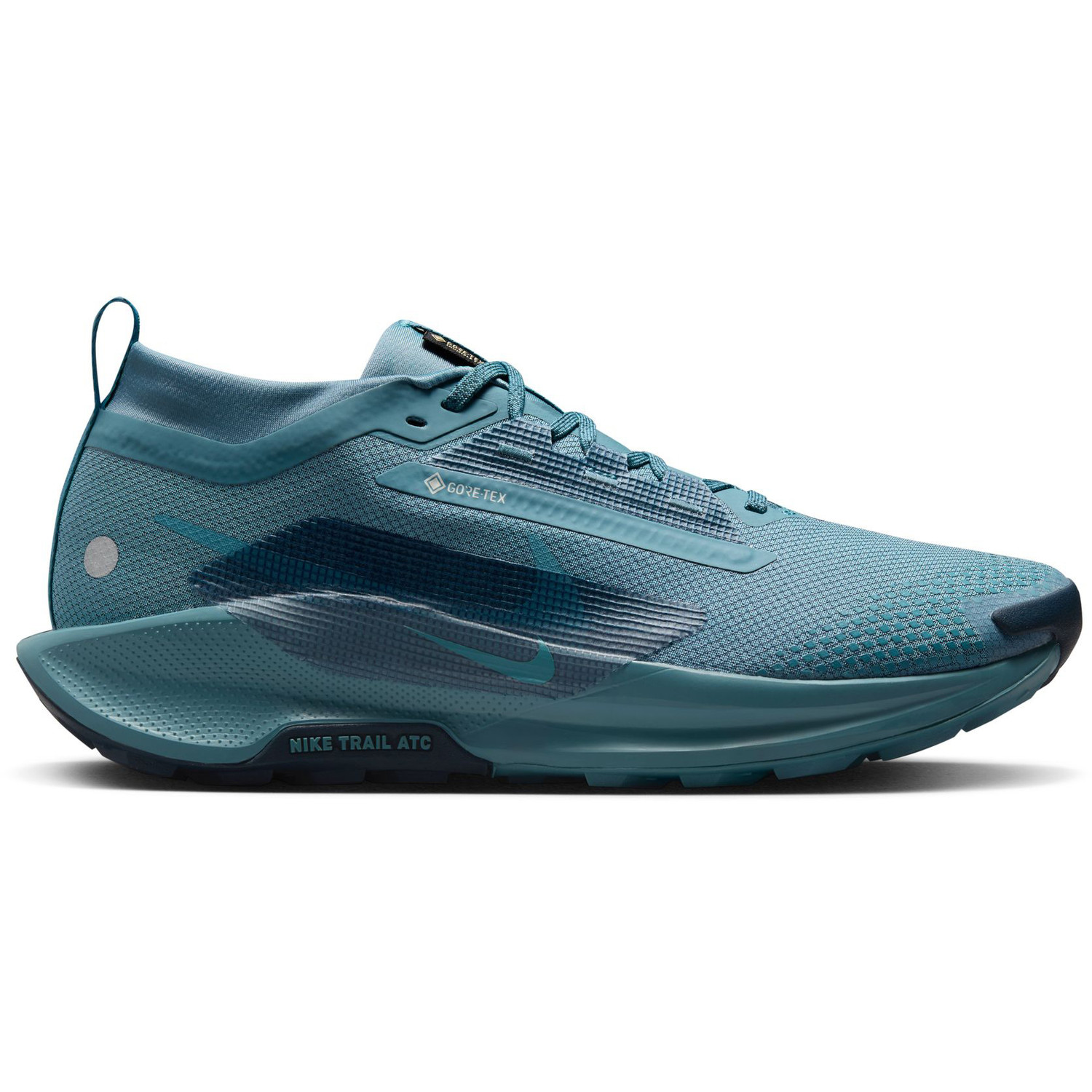 Nike Pegasus Trail 5 GTX Heren