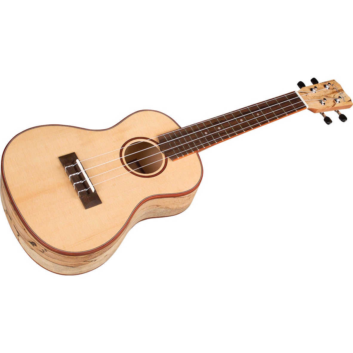 Cordoba 24C concert ukelele met sparrenhouten top